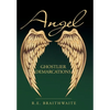 Angel: Ghostlier Demarcations - Hardcover