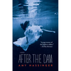After the Dam - Paperback