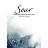 Soar: Indie Author Business Planner (Second Edition): Indie Author Business Planner - Paperback