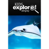 Stingray - Kids Explore: Animal books nonfiction - books ages 5-6 - Paperback