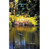Alligators Ain't All - Paperback