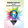 Subtle Energy and the World We Experience - Hardcover