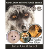 Foxes: Photos and Fun Facts for Kids - Paperback