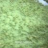 Jamaica Bay Reference Library REF 02: Jamaica Bay Plant Catalog - Paperback