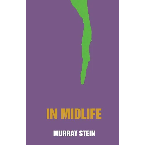 In Midlife: A Jungian Perspective - Paperback