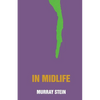 In Midlife: A Jungian Perspective - Paperback