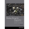 Thinking Through the Imagination: Aesthetics in Human Cognition - Paperback