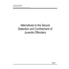 Alternatives to the Secure Detention and Confinement of Juvenile Offenders - Paperback