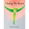 Chasing The Sunset - Hardcover