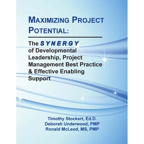 Maximizing Project Potential: The S Y N E R G Y of Developmental Leadership, Project Management Best Practice & Effective Enabling Support - Paperback