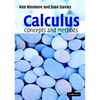 Calculus: Concepts and Methods - Paperback