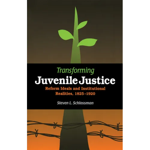 Transforming Juvenile Justice: Reform Ideals and Institutional Realities, 1825-1920 - Paperback