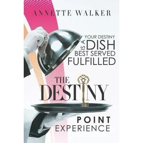 The Destiny Point Experience - Paperback