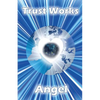 Trust Works - Paperback