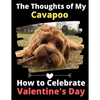 The Thoughts of My Cavapoo: How to Celebrate Valentine's Day - Paperback