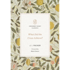 What Did the Cross Achieve? - Paperback