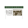 Lost Time: On Remembering and Forgetting in Late Modern Culture - Paperback