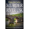 Murder by the River Usk: Welsh detectives investigate a puzzling cold case - Paperback
