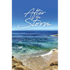 After The Storm - Hardcover