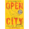 Open City - Paperback