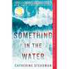 Something in the Water: Reese's Book Club - Paperback