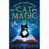 Love, Lies, and Hocus Pocus Cat Magic: A Lily Singer Adventures Novella - Paperback
