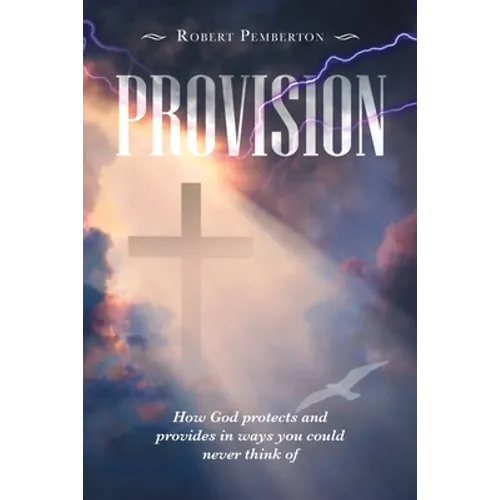 Provision: How God Protects and Provides in Ways You Could Never Think Of - Paperback