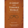 A Great and Terrible World: The Pre-Prison Letters, 1908-1926 - Paperback
