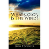 What Color Is the Wind? - Paperback