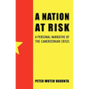A Nation at Risk: A Personal Narrative of the Cameroonian Crisis - Paperback