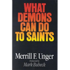 What Demons Can Do to Saints - Paperback