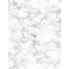 Grid Paper: Quad Rule graph paper,8.5 x 11 (4x4 graph paper) 100 pages - Paperback