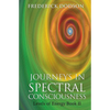 Journeys in Spectral Consciousness: Levels of Energy Book II - Paperback