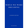While We Were Dreaming - Paperback