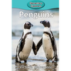 Penguins - Paperback