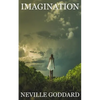 Imagination - Paperback