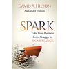 Spark: Take Your Business from Struggle to Significance - Paperback