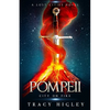 Pompeii: City on Fire - Paperback