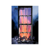Noah's Ark: The Novel - Paperback