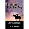 The Stallion and His Peculiar Boy - Paperback