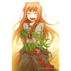 Spice and Wolf, Vol. 16 (Light Novel): The Coin of the Sun II - Paperback