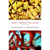 Finding Beauty in a Broken World - Paperback