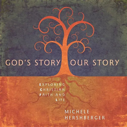 Gods Story Our Story - Paperback