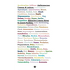 Anthropocene Unseen: A Lexicon - Paperback
