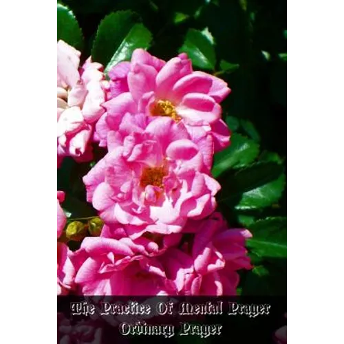 The Practice Of Mental Prayer: Ordinary Prayer - Paperback
