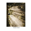 Scripture Study Journal: For expanding understanding of Jesus Christ and His Gospel - Paperback