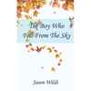 The Boy Who Fell From the Sky - Paperback