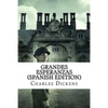 Grandes Esperanzas - Paperback
