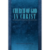 Church of God in Christ: Leadership Guidebook for Ministers - Paperback