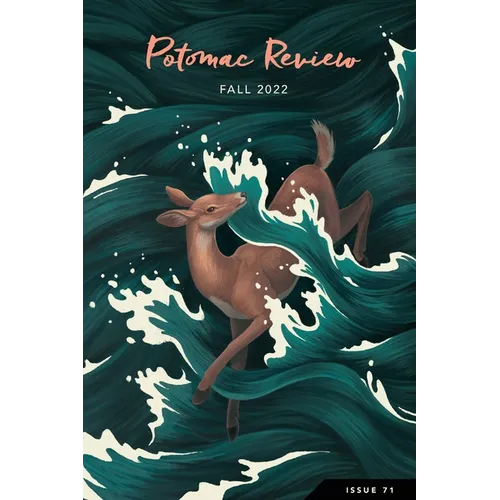 Potomac Review Issue 71 - Paperback